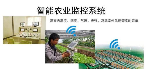 溫度、濕度、光照強度與農業生產 在線氣象監測技術解析