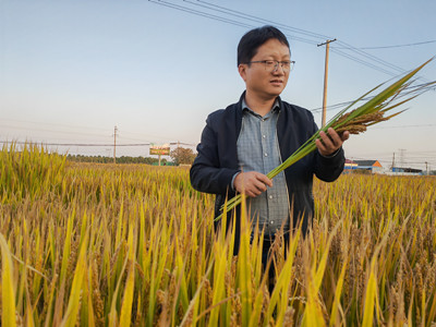 聚焦二十大 科技自強(qiáng)驅(qū)動(dòng)種業(yè)革新——信息技術(shù)在豐樂種業(yè)的深度應(yīng)用引發(fā)熱烈反響
